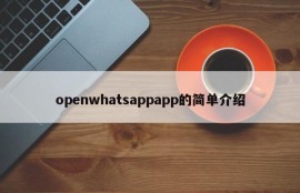 openwhatsappapp的简单介绍