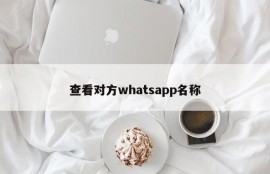 查看对方whatsapp名称