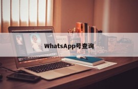 WhatsApp号查询