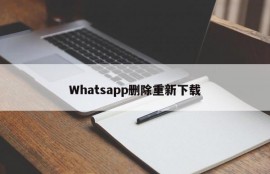 Whatsapp删除重新下载