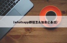 （whatsapp群组怎么加自己备注）
