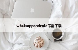 whatsappandroid不能下载