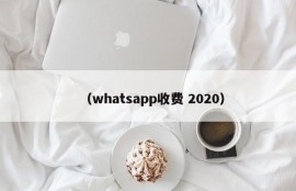 （whatsapp收费 2020）